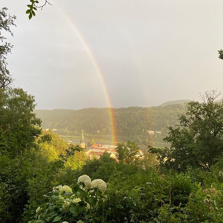 Villa Sonnenburg Bad Schandau Exteriör bild