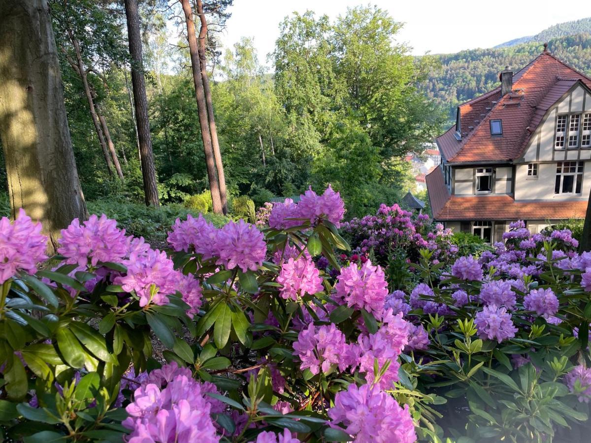 Villa Sonnenburg Bad Schandau Exteriör bild