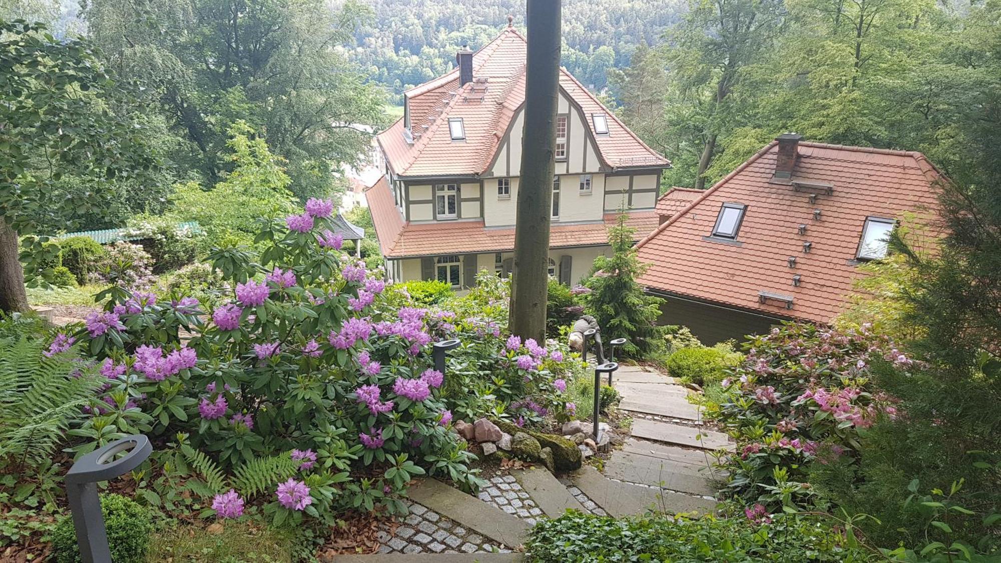 Villa Sonnenburg Bad Schandau Exteriör bild